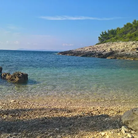 Planika 1 * Zavalatica