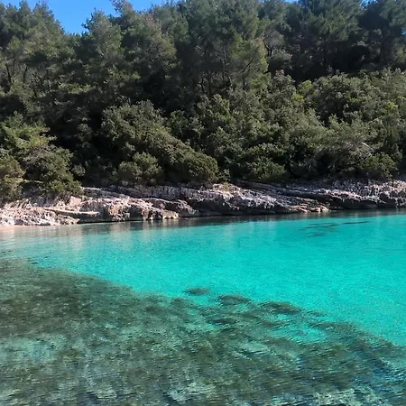 Planika 1 Daire Zavalatica