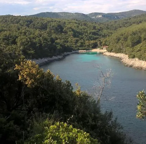 Daire Planika 1 Zavalatica