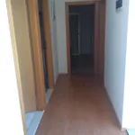 Planika 1 زافالاتيكا