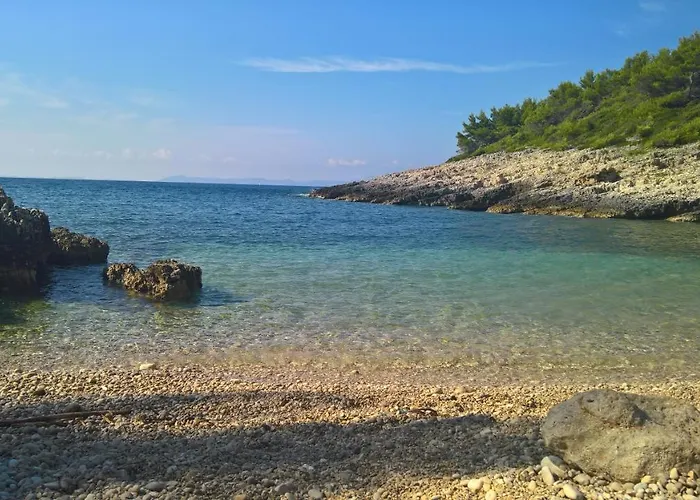 Planika 1 * Zavalatica